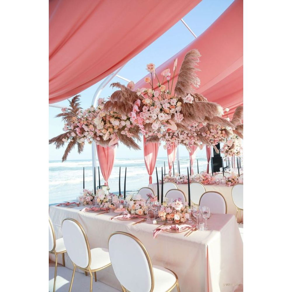 NEW - Shell Chair: Ghế Sự Kiện Tiệc Cưới Đẹp Và Tiện Nghi