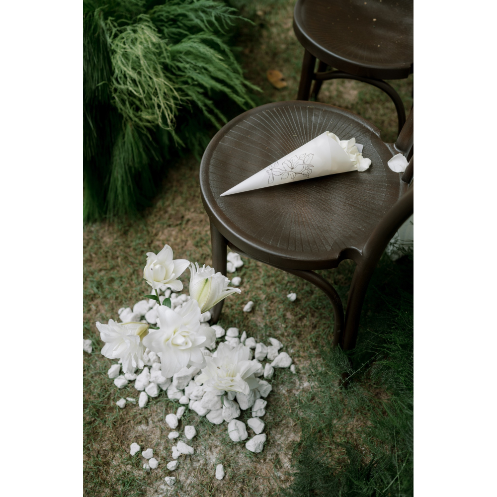 Thonet Brown - Nét Đẹp Cổ Điển Tỏa Sáng Trong Không Gian