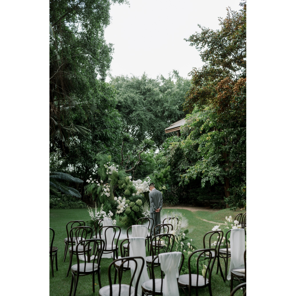 Thonet Brown - Nét Đẹp Cổ Điển Tỏa Sáng Trong Không Gian