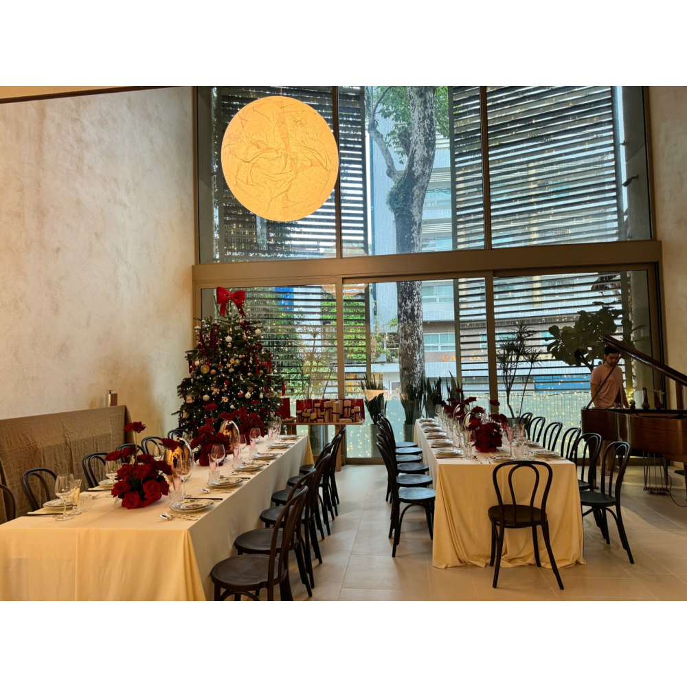 Thonet Brown - Nét Đẹp Cổ Điển Tỏa Sáng Trong Không Gian