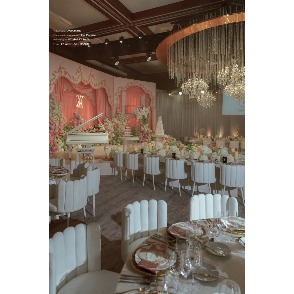 TULIP CHAIR - VẺ MỀM MẠI TỪ NHỮNG ĐƯỜNG CONG TINH TẾ