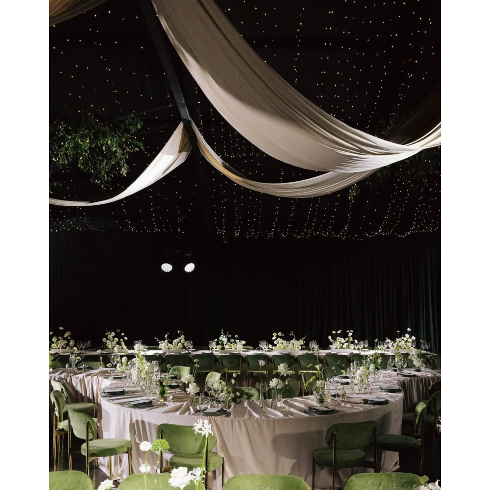 𝐍𝐄𝐖 - 𝐕𝐞𝐥𝐯𝐞𝐭 𝐂𝐡𝐚𝐢𝐫 – Sự Thanh Lịch Có Chiều Sâu