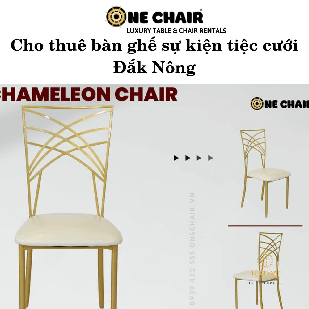 Hình 10: Cho thuê bàn ghế chameleon Đắk Nông.